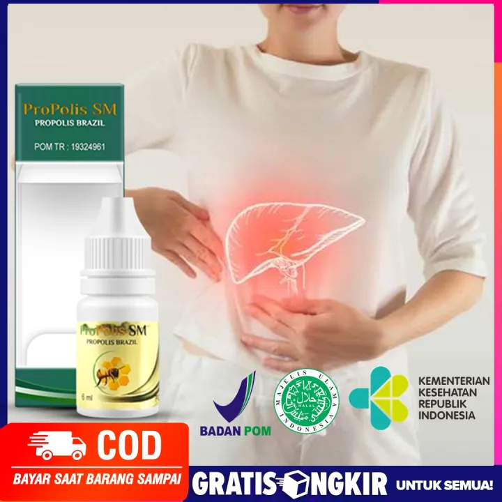 Obat Herbal Peradangan Pada Hati Atau Liver Hepatitis A B C D E Penyakit Kuning Gagal Hati 0658