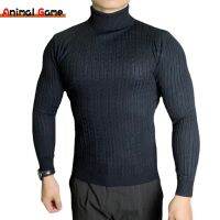 New Winte Mens Rollneck Knitted Keep Men Jumper Knit Woolen Turtleneck Warm Sweater Casual Pulloverr Coats Knit Sweater