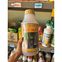 Tany  plus เหลือง(ใหญ่)