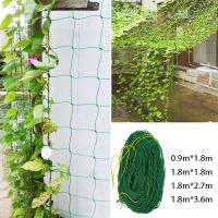 [ELEGANT] Nylon Mesh Horticulture Plant Crawl Net Loofah Morning Glory Cucumber Vine Grow Holder Crawl Farm Gardening Network