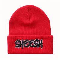 【YD】 SHEESH Woman Warm Embroidery Hats Man Knitted Hip Hop Outdoor Ski Skullies caps