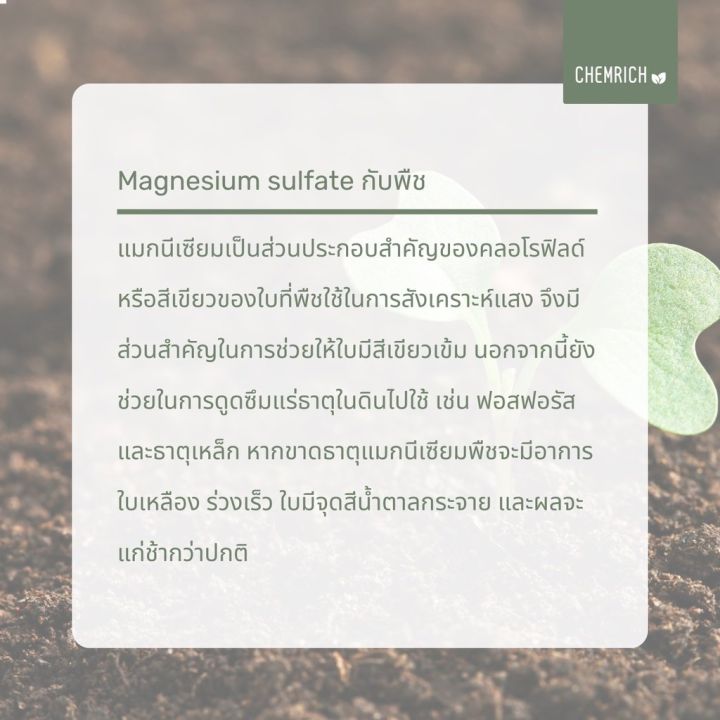 ready-stock-5kg-ดีเกลือฝรั่ง-food-grade-แมกนีเซียมซัลเฟต-magnesium-sulfate-epsom-salt-food-grade-chemrichมีบริการเก็บเงินปลายทาง