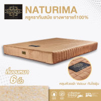 Gindex ที่นอนยางพาราแท้ 100 % Natural Latex Mattress หนา 6 นิ้ว หุ้มผ้า VELOUR กันไรฝุ่น ขนาด 3.5 ฟุต / 5 ฟุต / 6 ฟุต รุ่น Naturima