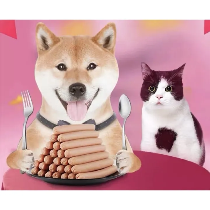 Pet Sausage 15g Beef Chicken Duck Hotdog Food Treats for Dogs and Cat