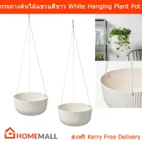 กระถางต้นไม้แขวน modern วินเทจ ร่วมสมัย กระถางต้นไม้ กระถางสวยๆ สีขาว (2ใบ) Hanging Planter Pot Stands Flower Pot Hanger Garden Pots White Color (2unit)