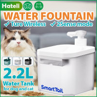 HATELI 2.2L อัตโนมัติสำหรับสัตว์เลี้ยงที่ดื่มตู้ไฟฟ้าถ้วยกรองที่ให้น้ำสุนัขน้ำพุแมวเครื่องดื่มแมวไร้สาย