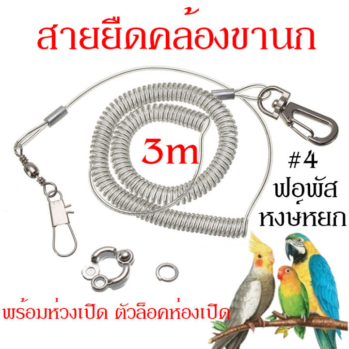 สายจูงนก-ห่วงขานก-4-มม-สายจูงนกแบบยืดหยุ่นได้-สายจูงนกแก้ว-ห่วงขานกแก้ว-นกแก้ว-ป้องกันนกหลุด