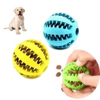 Dog Nontoxic Bite Resistant Rubber Food Treat Feeder Chew Cleaning Exercise Training