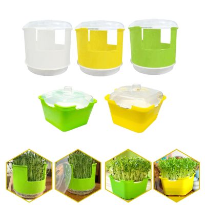 Pentagonal Plastic Sprout Planting Pot Box Bean Pea Sprouter Seedling Tray Wheat Grass Cat Grass Nursery Growing Germination Kit