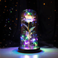 【cw】2021 Beauty and Beast Light Galaxy Rose Flower Glass Cover LED Battery Lamp Birthday Valentines Day Gift For Mom Mothers Gift ！