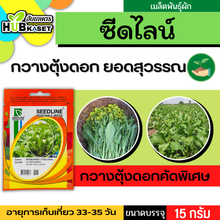 ซีดไลน์ 🇹🇭 กวางตุ้งดอกคัดพิเศษ ยอดสุวรรณ ขนาดบรรจุประมาณ 15 กรัม อายุเก็บเกี่ยว 33-35 วัน