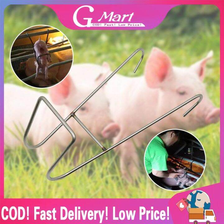Piglets Castrated Frame Stainless Steel Pig Castration Device