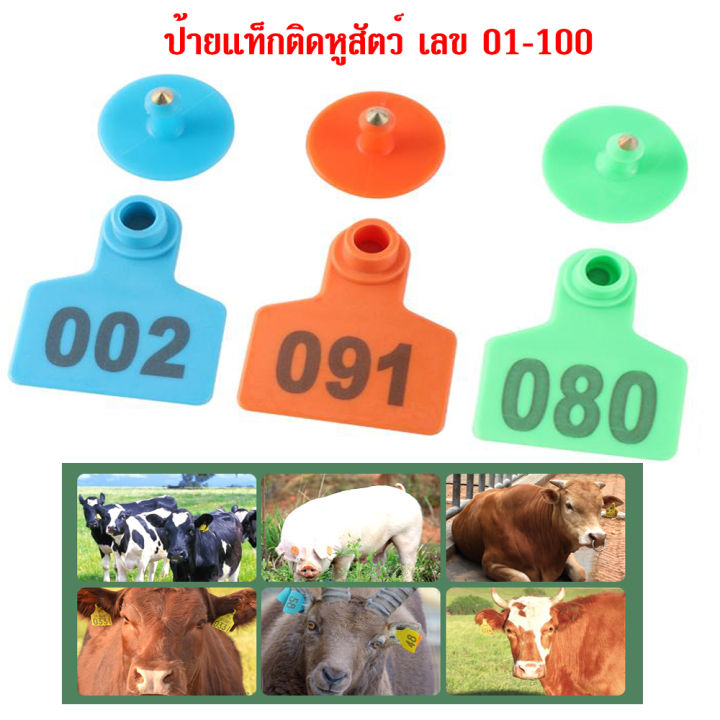 ส่งเร็ว-ป้ายเบอร์หู-หมู-วัว-แพะ-เบอร์หูวัว-แกะ-สุกร-ป้ายติดแท็กหูสัตว์ทำสัญลักษณ์-แบบเหลี่ยม-ขนาด5x4