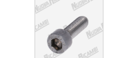 (SKU: 541955 ) สกรูสแตนเลส M6x20mm