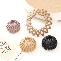 【CW】 Hair Ornaments Tie Lazy Hairpin Plate Ponytail Fixed Grab Clip Korean Braiders