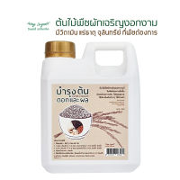 บำรุงต้นดอกผล (1ลิตร)INSAY ORGANIC  น้ำหมักอุดมไปด้วยวิตามินและแร่ธาตุ   ปุ๋ยสำหรับพืชผัก