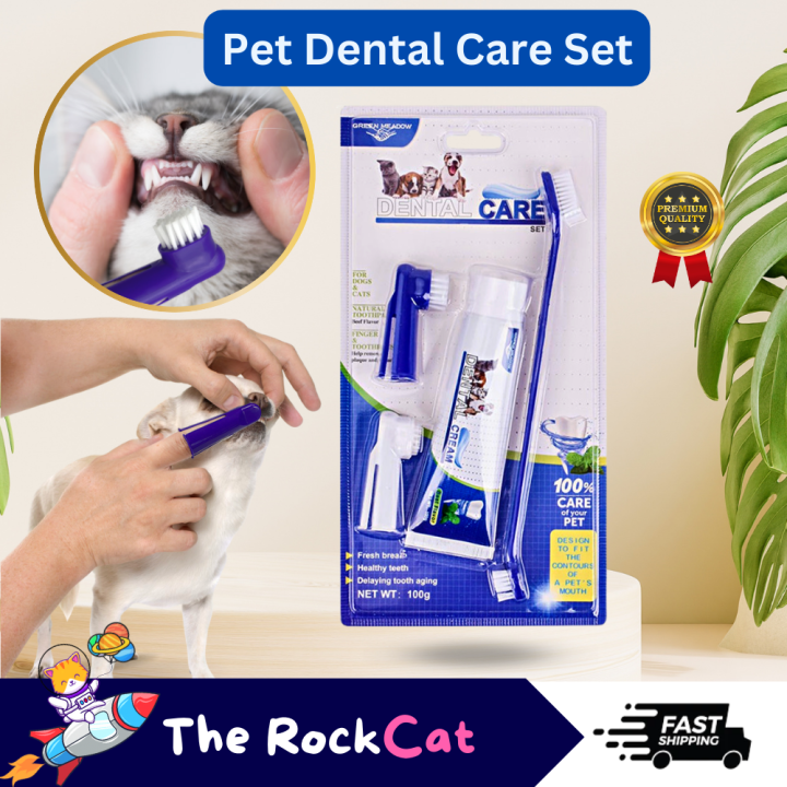 ROCKCAT 】Premium Pet Cat Dog Toothbrush And Toothpaste Set For Dog Cat Toothpaste and Tooth