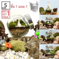 ชุดโปรโดนใจ จัดสวนขวดแก้ว DIY ซื้อ 1 แถม 1 Side S สุดคุ้ม ฟรี ขวดโหลแก้ว Side S อีก1ใบ แบบใดก็ได้