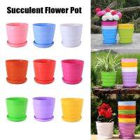 【CC】 1PC Colorful Plastic Pots With Trays Basin Succulent Flowerpot Garden Supplies Office Desktop