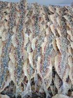 ปลาข้างเหลืองแห้งใส่งา (250 กรัม) ปลาข้างเหลือง ปลาข้างเหลืองแห้ง สะอาด ตากสดใหม่ทุกวัน อาหารทะเลแปรรูป อาหารแห้ง สินค้าแห้ง ส่งฟรี!