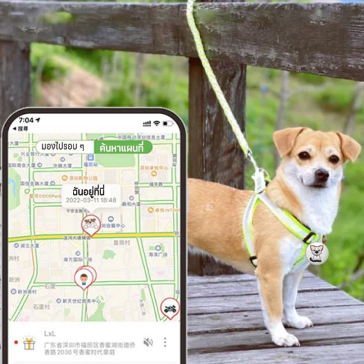 bhq-pet-เครื่องติดตาม-เครื่องติดตามสัตว์เลี้ยง-gps-ติดตามผ่าน-smartphone-มีถ่านให้ฟรี-เครื่องติดตามแมว-ของหายในบ้าน