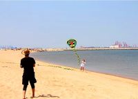 สายเชือกผูกแบบเชือกว่าวงูใหญ่สำหรับเด็กเล่นกีฬาชายหาดว่าวไนล่อนว่าวว่าวเวยฟางกีฬาว่าวจากโรงงาน