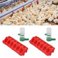 2Set Flip Top Chick Birds Water Feeder PP Chicken Trough Automatic Feeder with Splatter Proof C