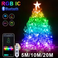 Garland USB 5V WS2812B Bluetooth LED String Fairy Lights Dreamcolor RGBIC Addressable Party Christmas Lights Wedding Decoration