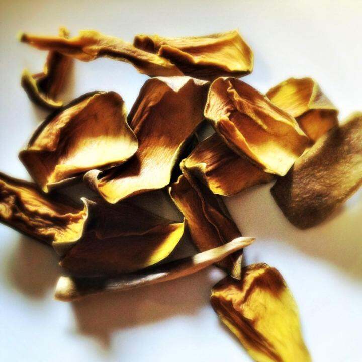 DRY MANGO (MANGO VATHAL) 1KG Lazada