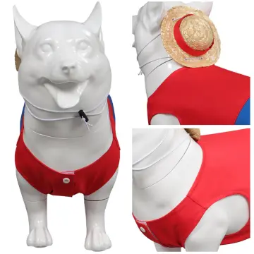 One Piece Zoro on Dog #OnePiece  Zoro one piece, One piece cosplay, One  piece manga