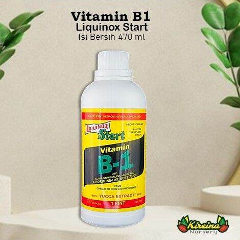 Vitamin B1 Liquinox Start - 470ml | Lazada Indonesia