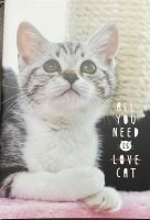 สมุดโน๊ต All you need is love cat