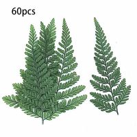 60Piece Dried Green Fern Herbarium Green Plastic for DIY Jewelry Postcard Invitation Card Phone Case Pennisetum Leaves