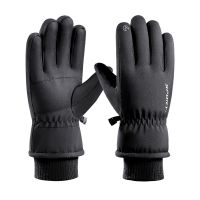 Cycling and Skiing Gloves Autumn and Winter Warm Fleece Thickened Windproof Waterproof Touch Screen Sports Cotton Gloves