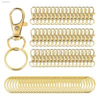 ◊ Lanyard Lobster Claw Clasps kits 10Pcs Swivel Snap Hooks with 10pcs Key Rings for Keychain Jewelry Making Crafts Accessories