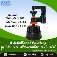 มินิสปริงเกอร์ รุ่น BIG พร้อมฝาครอบเกลียวใน ขนาด 1/2"-3/4"  ปริมาณน้ำ 120 ลิตร/ชั่วโมง รัศมีการกระจายน้ำ 3-4.5 เมตร รหัสสินค้า BIG-120-RDPG1234