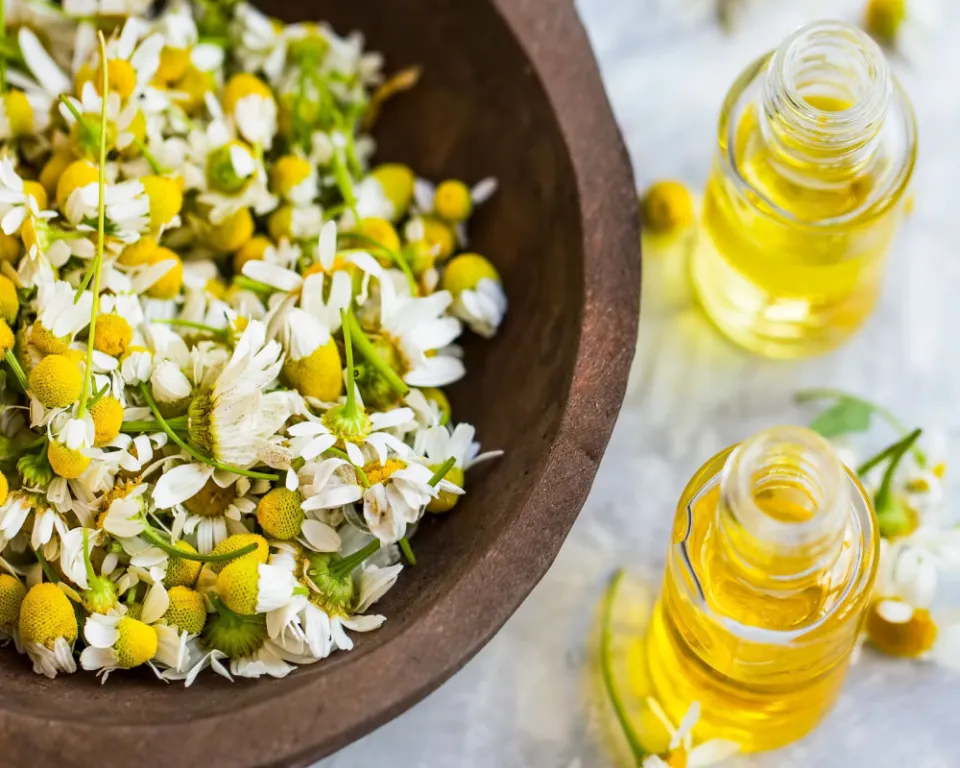 Skin benefits of chamomile oil