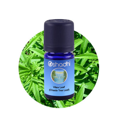 Oshadhi Vitex Leaf (Chaste Tree Leaf) Essential Oil น้ำมันหอมระเหย (1 ml)