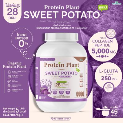 Protein Plant โปรตีนแพลนท์ สูตร 3 (รสมันเทศ สีม่วง) ขนาด 2.27 kg./กระปุก (5 ปอนด์ 5LBS) ทานได้ 45 ครั้ง โปรตีนพืช 5 ชนิด คอลลาเจนเปปไทด์ แอลกลูต้าไธน
