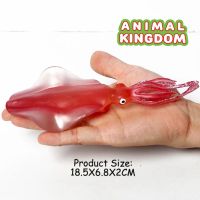 Animal Kingdom - โมเดล Squid ปลาหมึก ลายขีด ขนาด 18.00 CM (จากสงขลา)