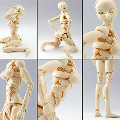 Special Full Action Type-3 SFBT-3 29cm Jointed Figure Body Module CollectionSpecial ,Type-3 SFBT-3,29cm, JointedAccessoriesFull Action Body,Figure BodyCollection,Toy,Kids,Adults,Gifts