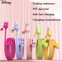 Disney Mickey Minnie Alien Winnie the Pooh Lotso Fast Charger Data Cable For iPhone Android Type C PD Transmission Mobile Phone