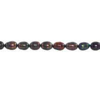 Genuine Oval Pearl - (Dark Brown)