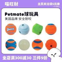 2023 ?Hot Sale Petmate American dog toy ball pet elastic rubber ball bite-resistant floating water sound training ball ???