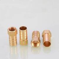 1/8 1/4 3/8 Female Threaded Brass Hose Barb Fitting Pipe Connector Joint Pagoda Head 6mm 8mm 10mm 12mm 14mm