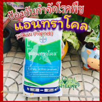 แอนทราโคล 1 กิโลกรัม ? โพรพิเนบ (Propineb)  ป้องกันกำจัดโรคพืช กำจัดเชื้อรา โรคใบจุด ใบไหม้ แอนแทรคโนส โรคเน่าดำ ราสนิม ราแป้ง