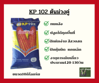 เมล็ดพันธุ์ข้าวโพด KP102 ต้นม่วงคู่  ฝักแฝด ทนแล้ง ฝักดี สีสวย