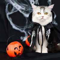 Halloween Collection ชุดผู้คุมกุ๊กกู๋ ชุดหมา แมว | Clawsetbkk