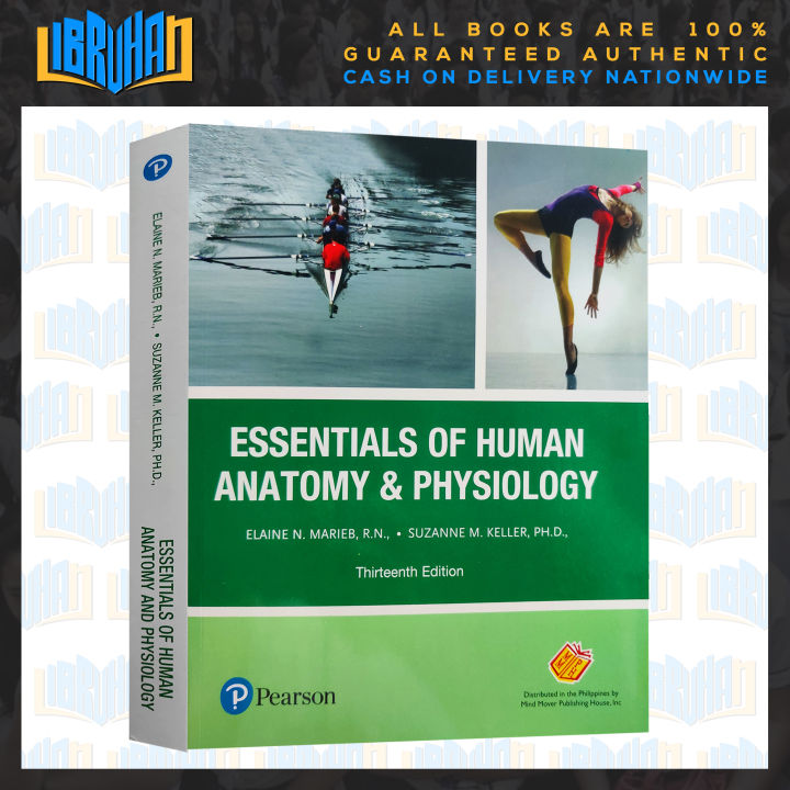 ESSENTIALS OF HUMAN ANATOMY & PHYSIOLOGY Thirteenth Edition - Elaine N ...