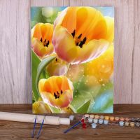 Tulips Flower DIY Painting By Numbers Kit Oil Paints 50x70 Canvas Painting Handmade Crafts For Wholesale
